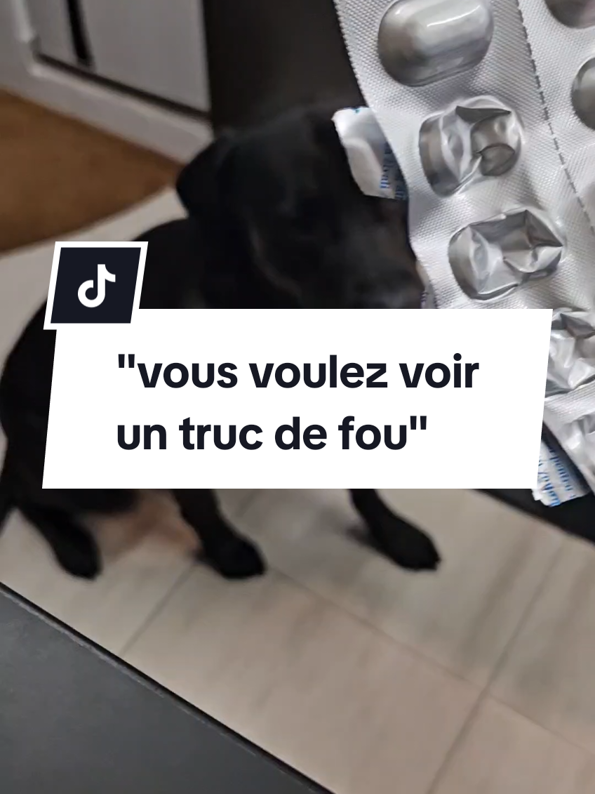 @Battman Batou