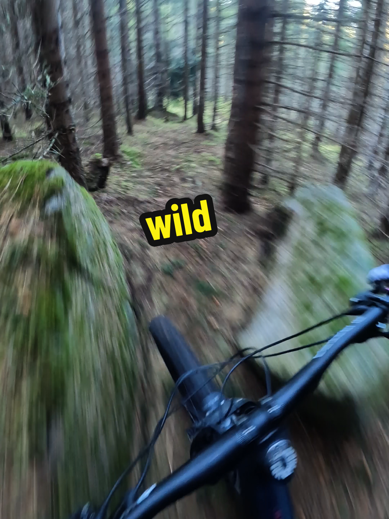 @That MTB guy