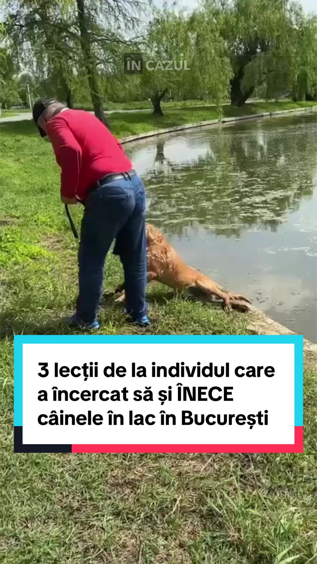 @Tudor-Tim Ionescu