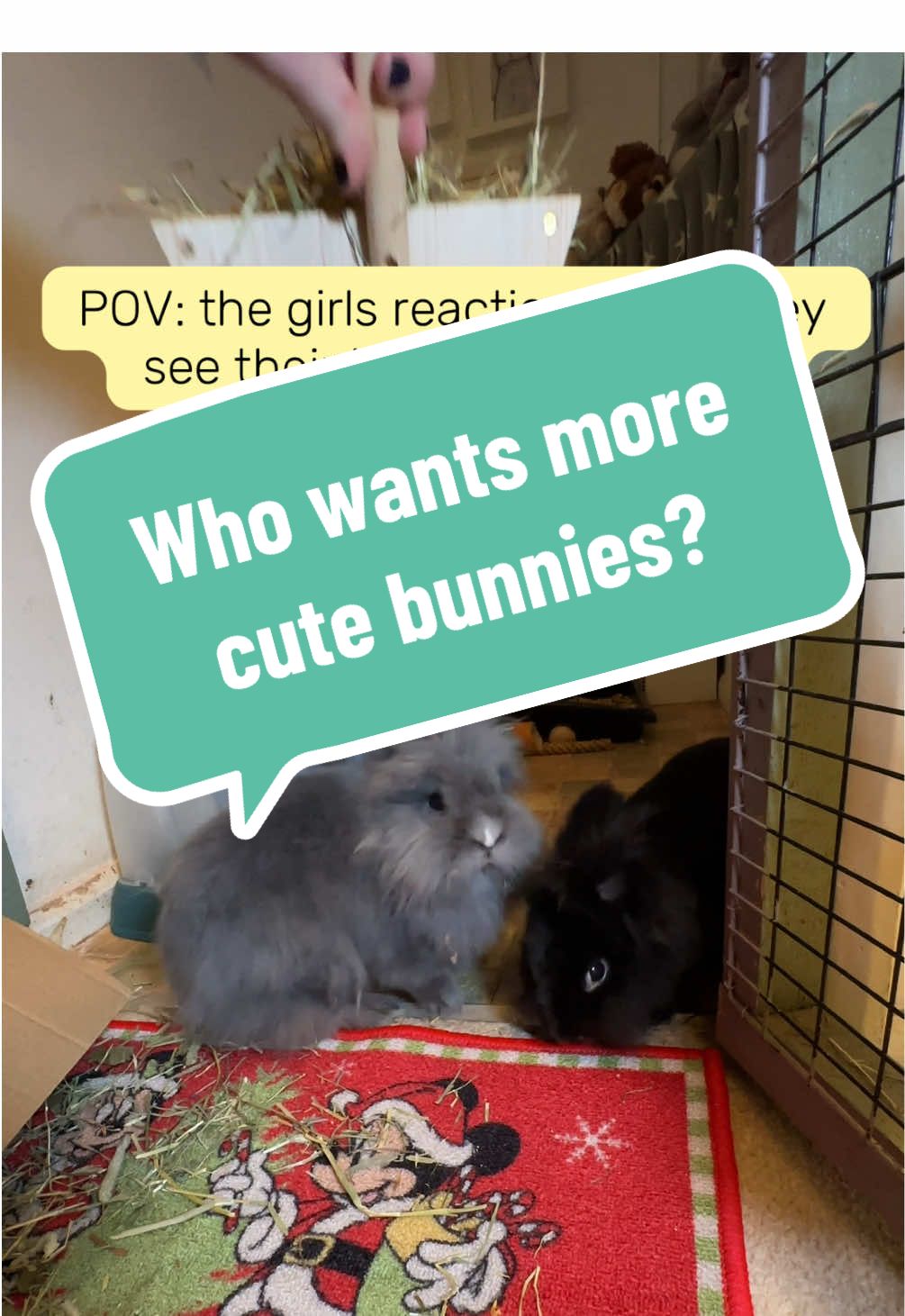 @Samantha & The Mancfurbabies🐝