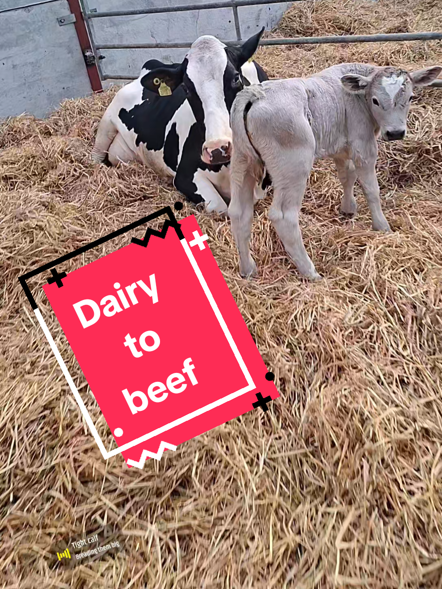@FarmwithJack🐄 🚜