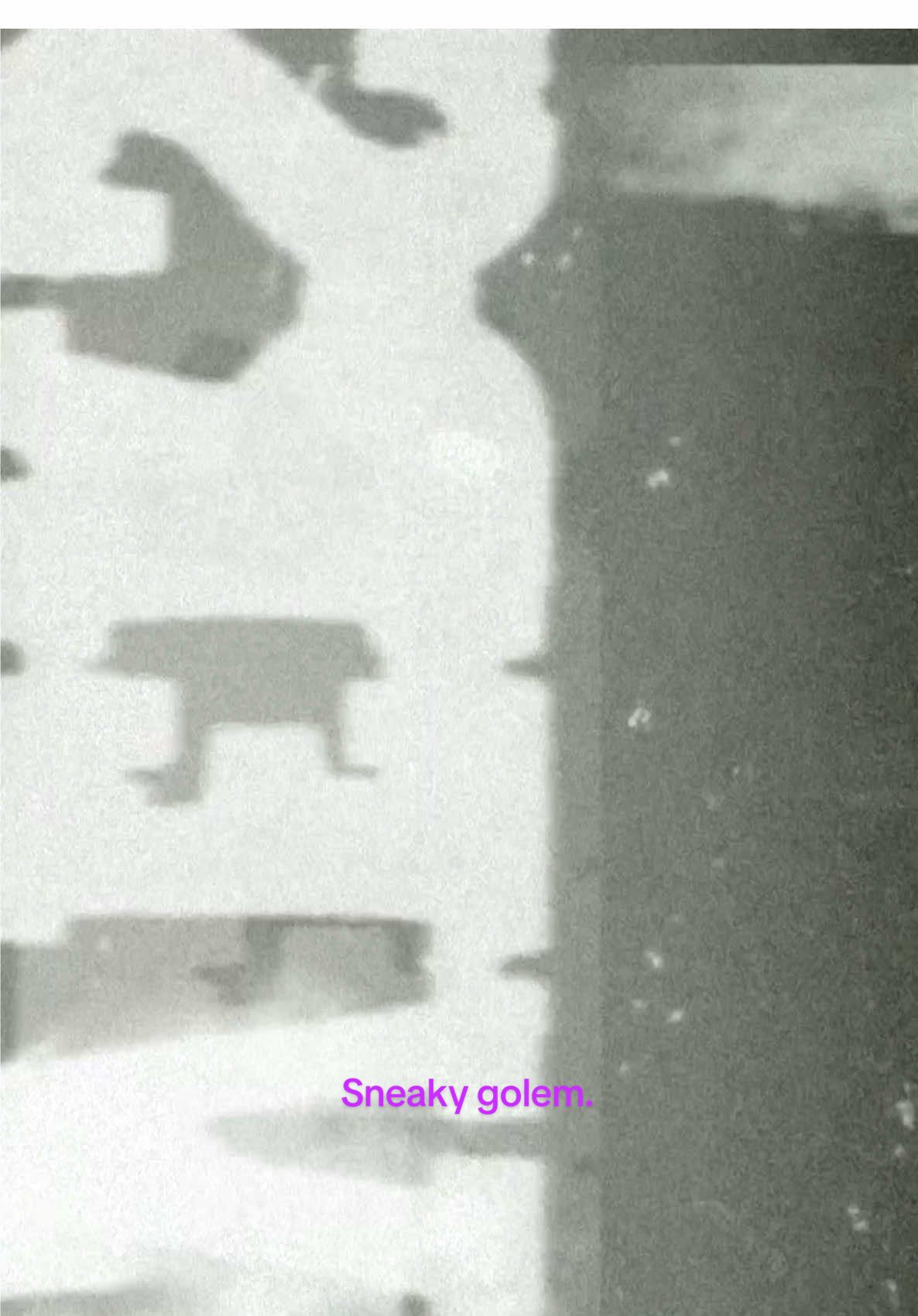 @Mal&yacute; dort