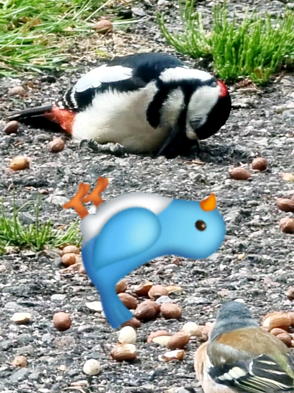 @Spotting~Wildlife~@JuStNaTuRe