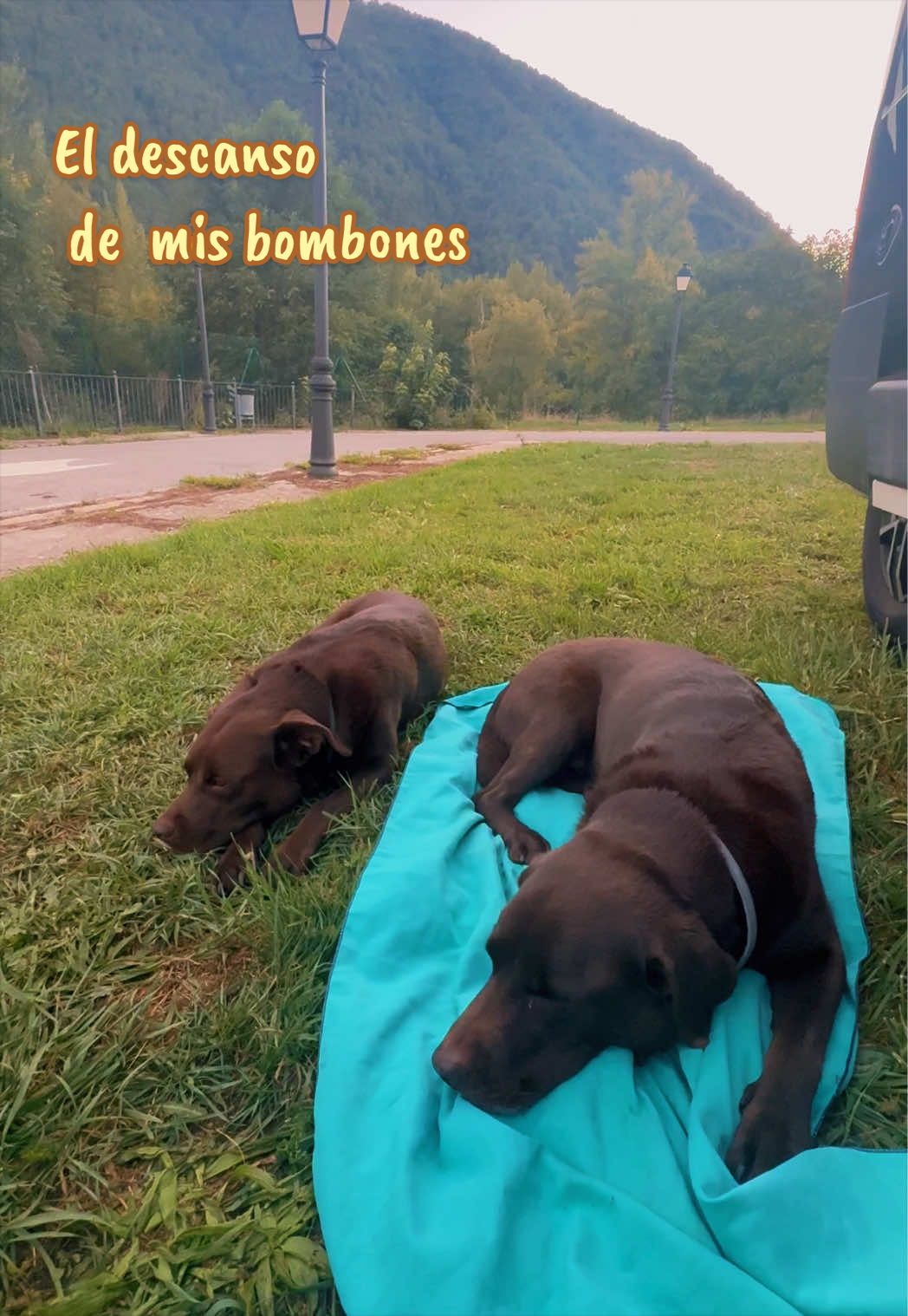 @Dos bombones