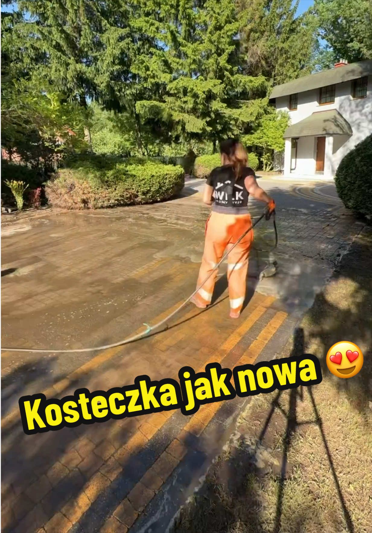 @wilkdomymyje
