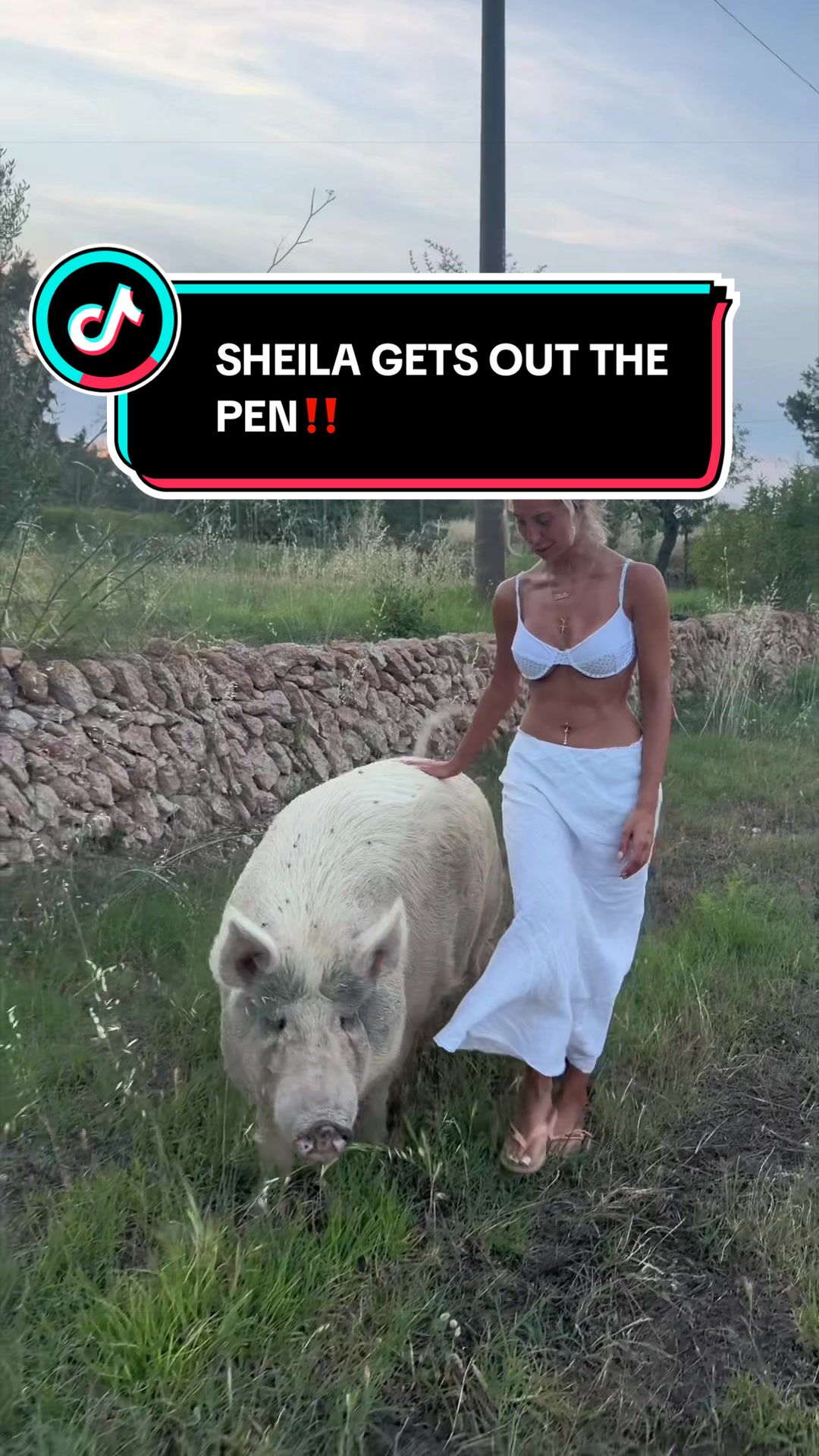 @Stella TzortZi
