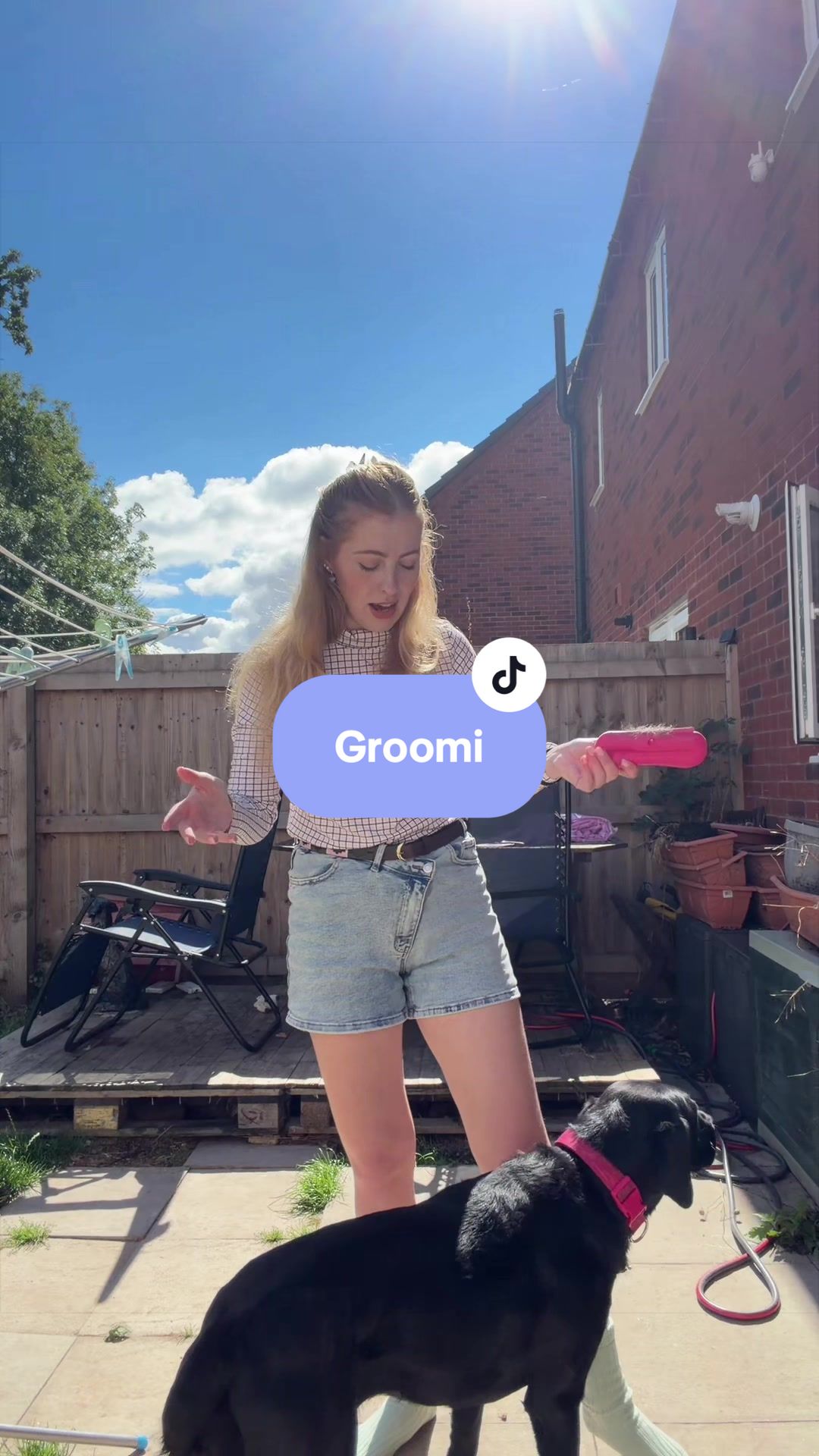 @Lily