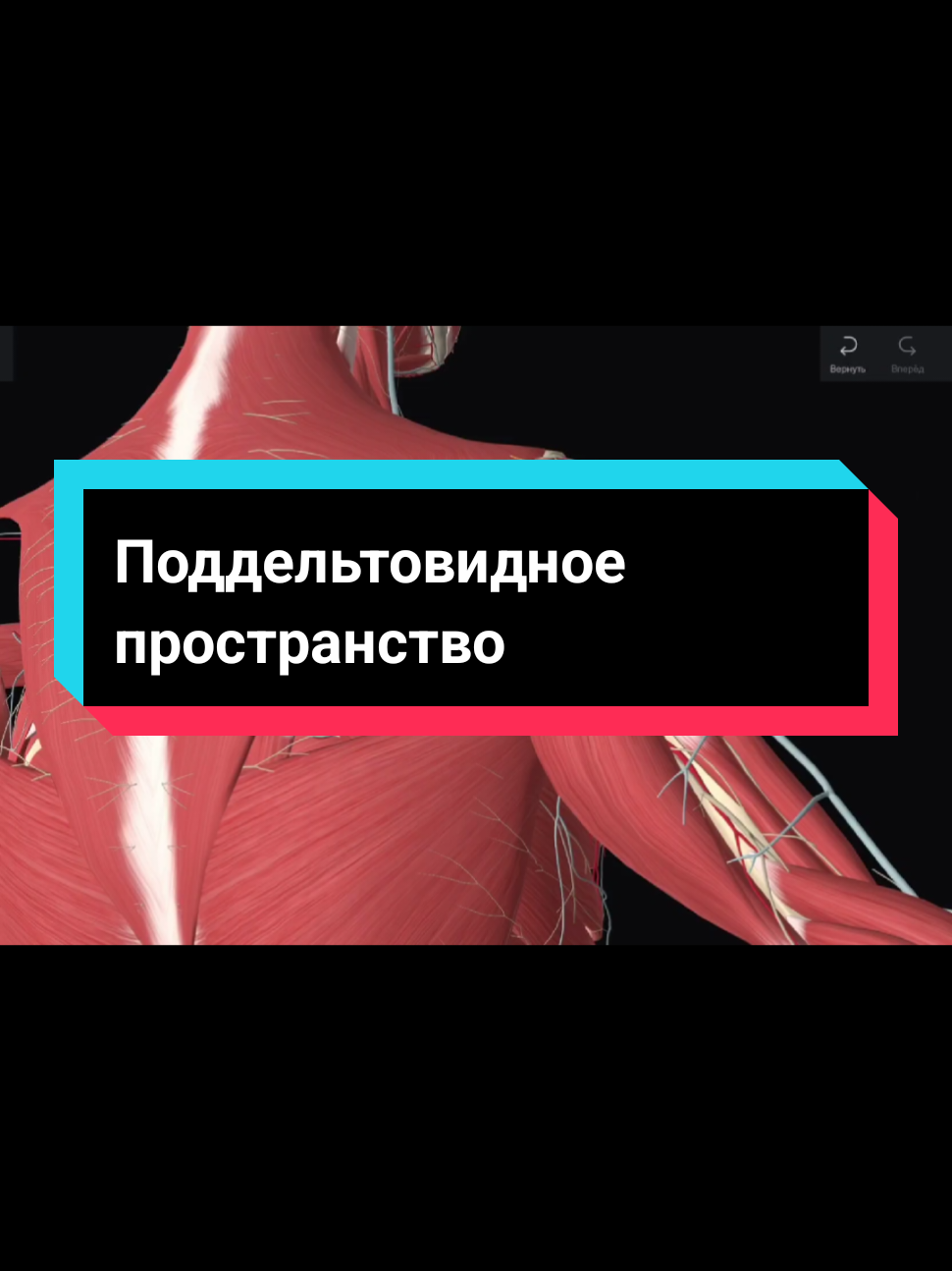 @DushaBolnicy💫
