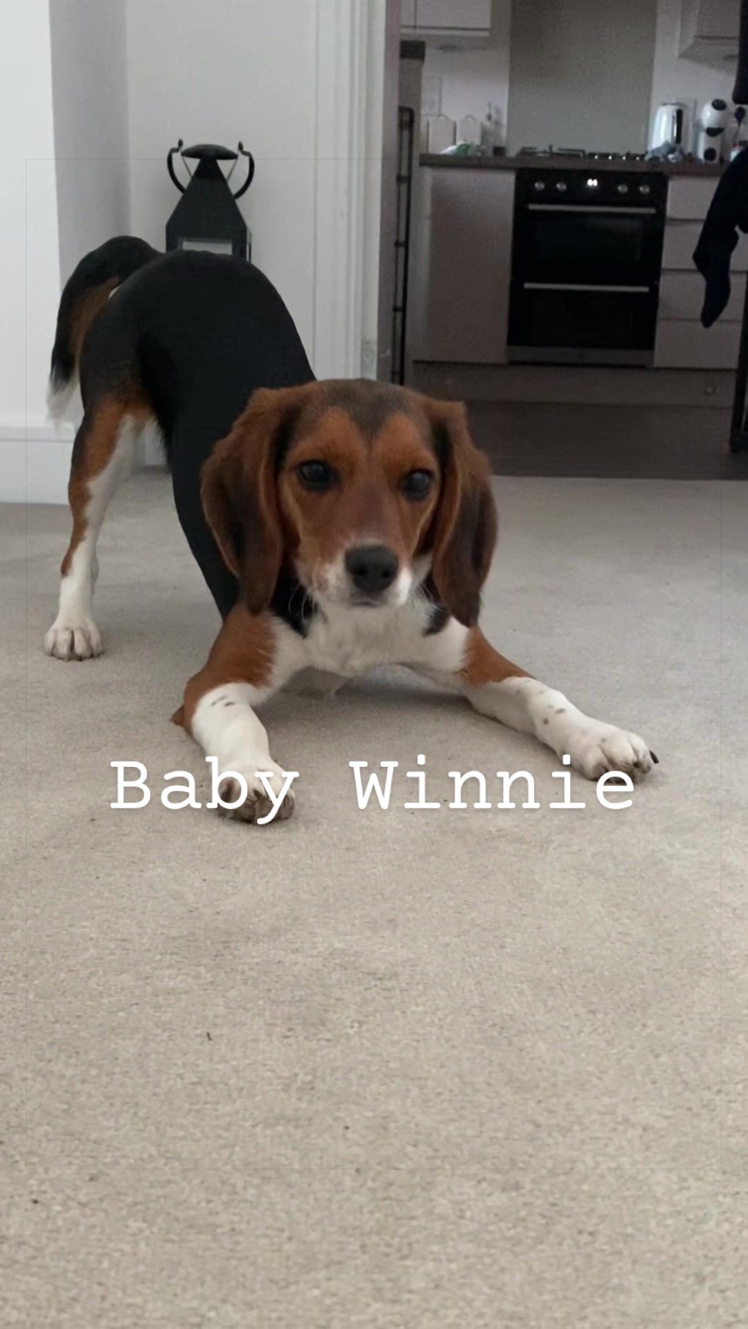 @Winnie&Sophie