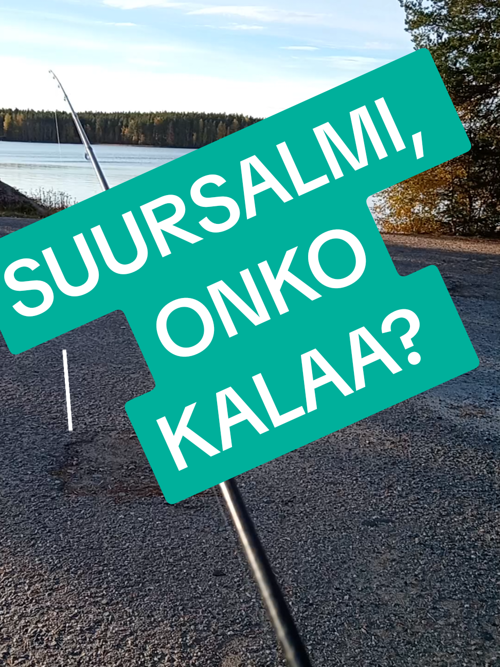 @HessunKireeSiima