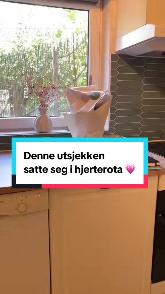@Teresa | Airbnb Host 🏡