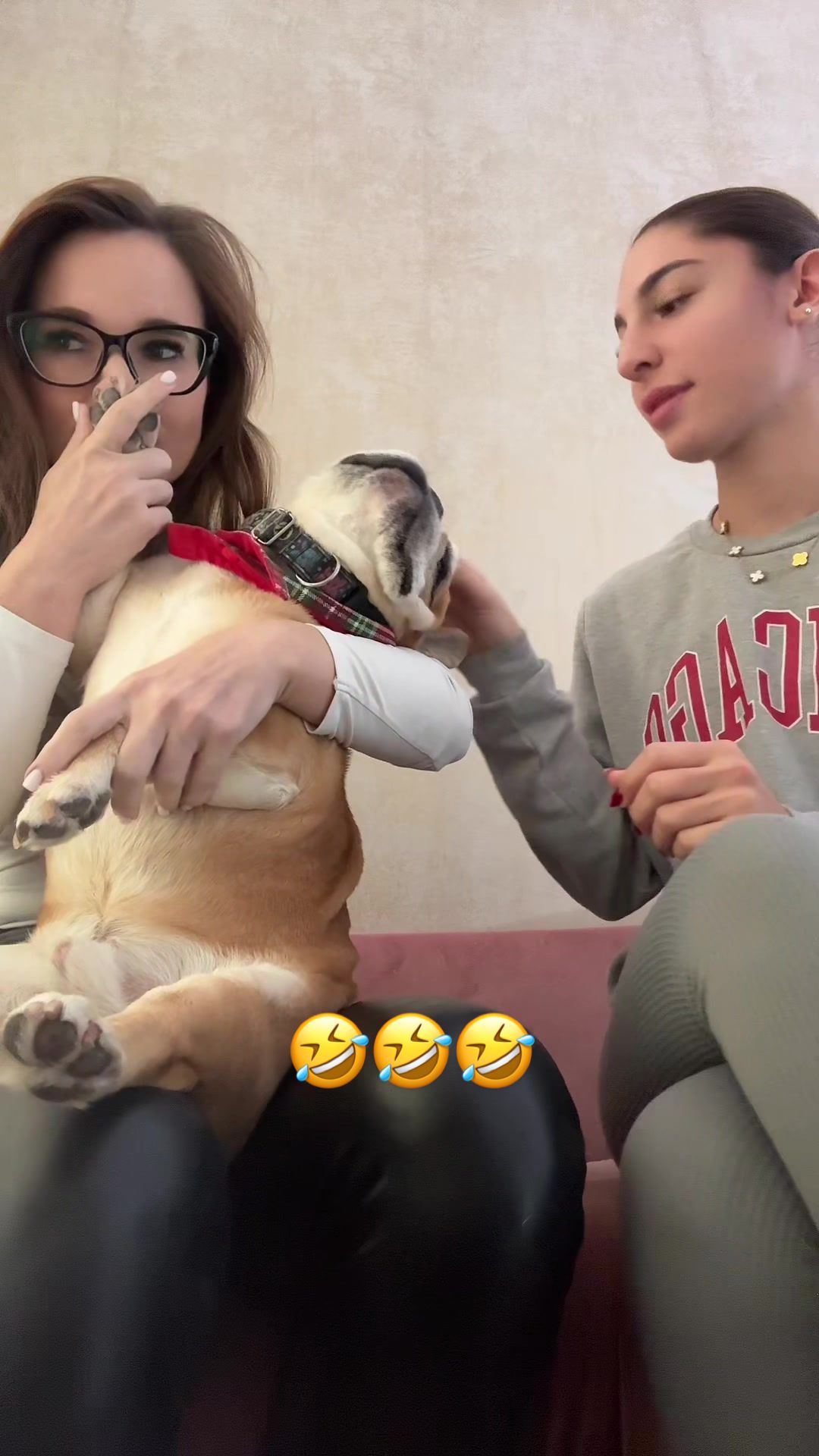 @Tasi Zitu