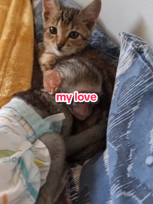 @Magic♥️Pets