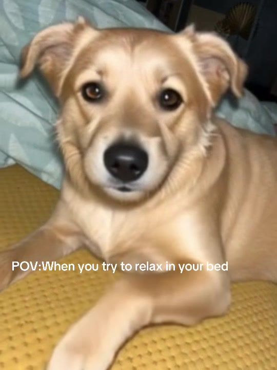 @Grysiu.