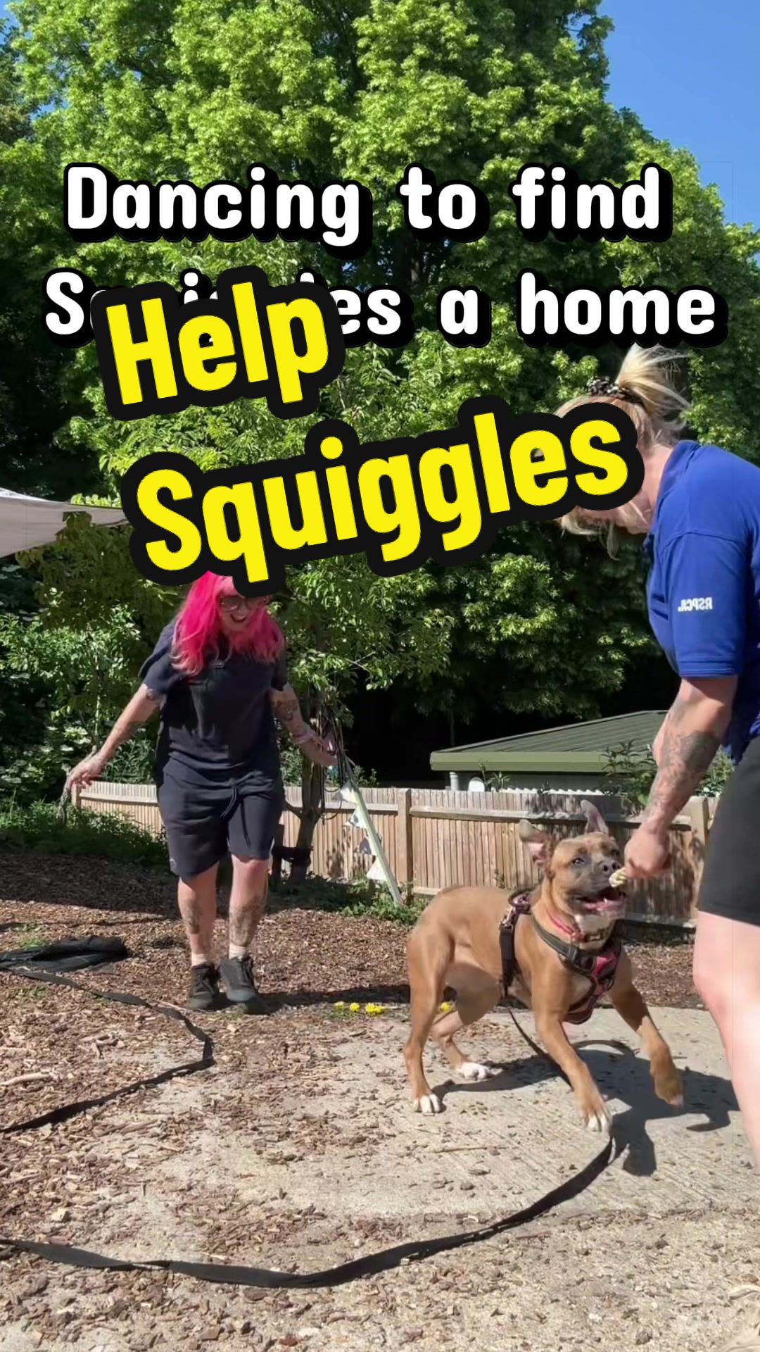 @RSPCA brighton