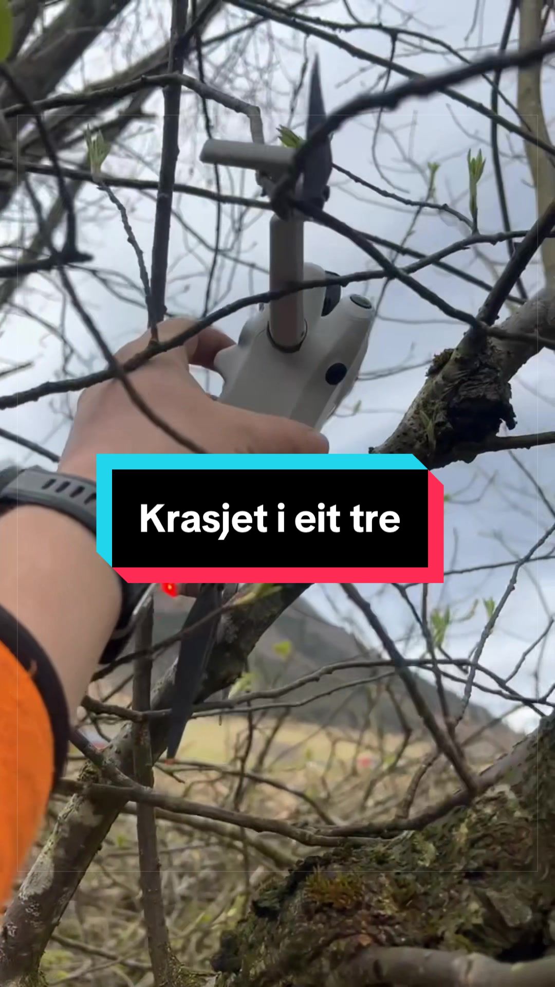 @Ørjan Hjelmeland Øvstebø