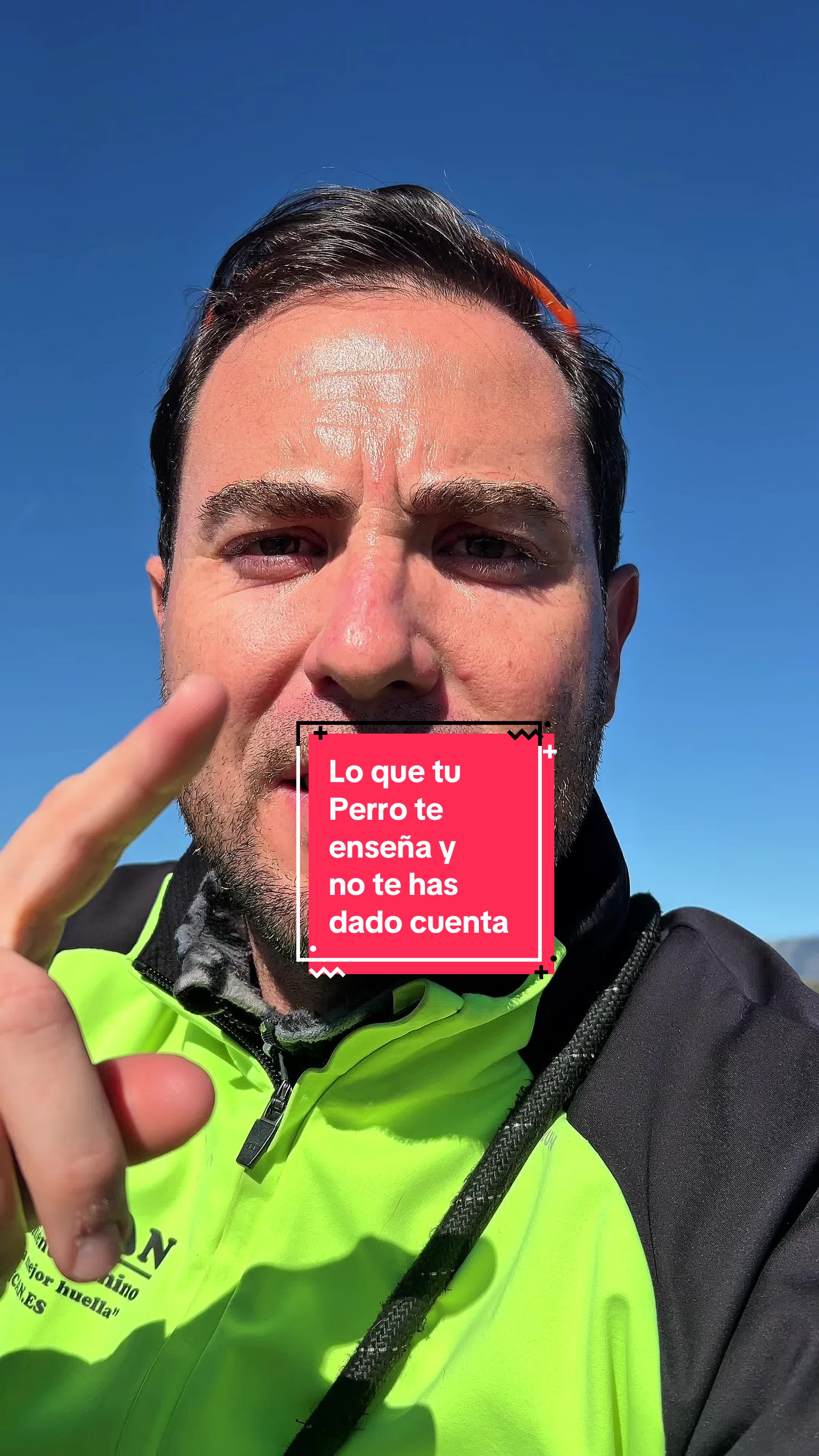 @adican_adiestradorcanino