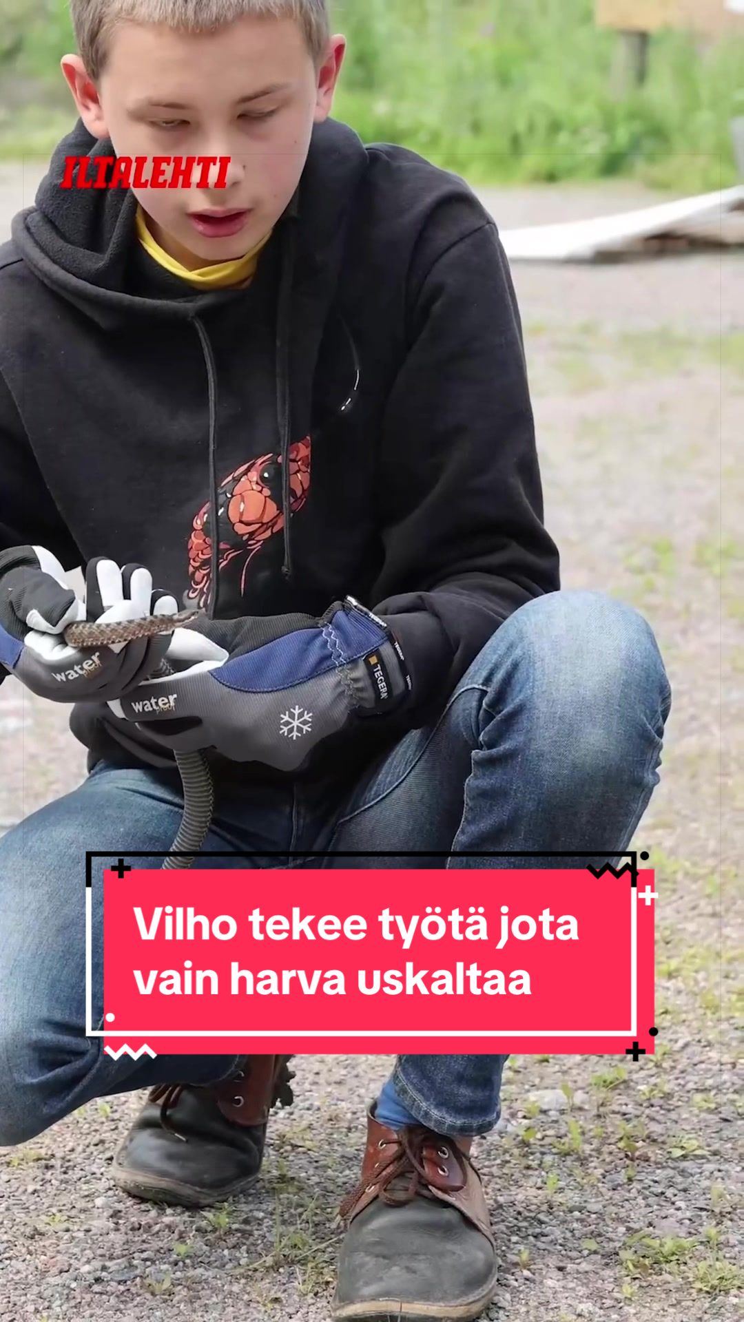 @Iltalehti