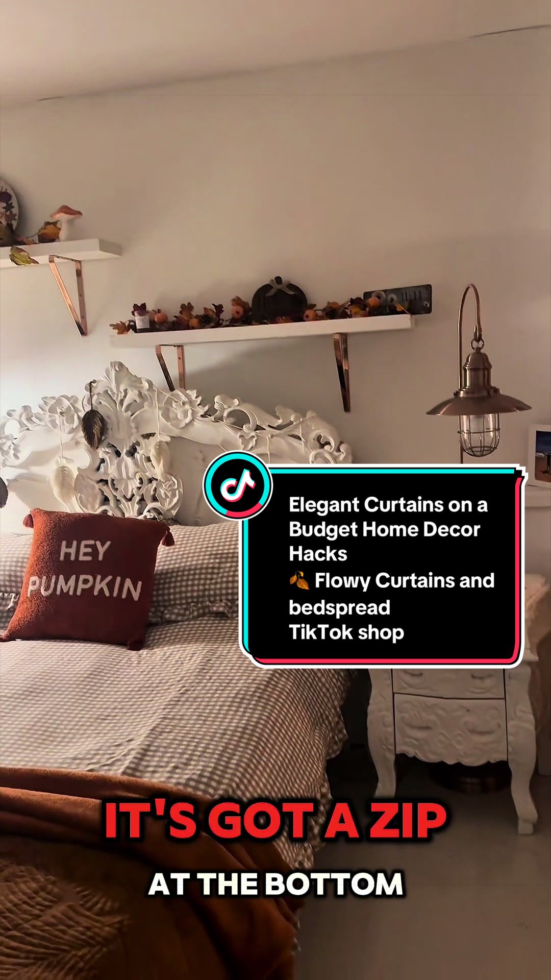 @venturavibed