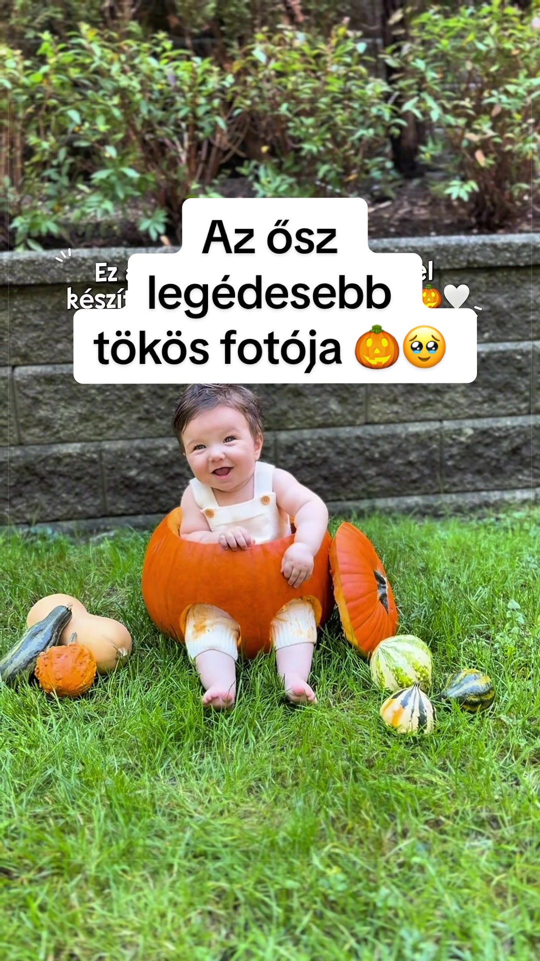 @Evelyn & Dan 🇨🇦🇭🇺