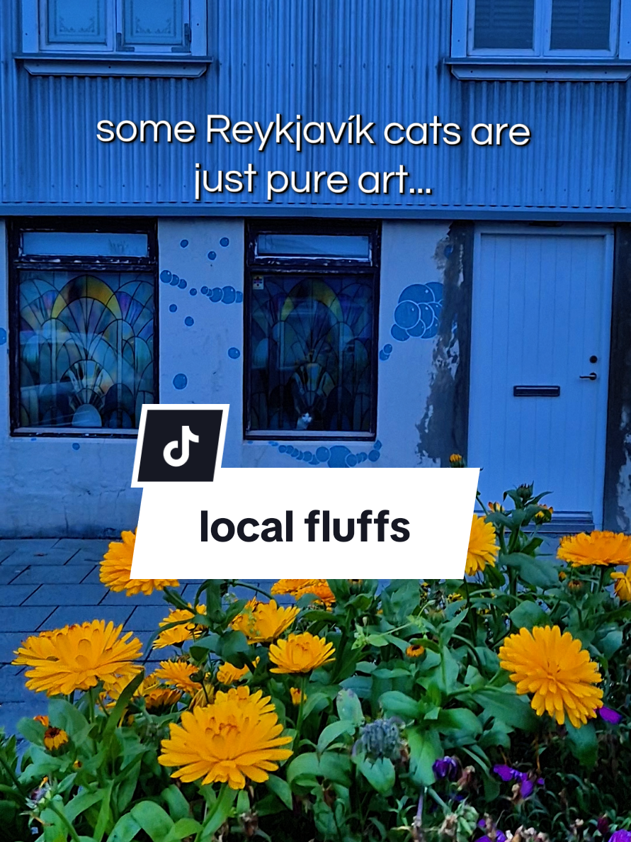 @Ragnhildur J&oacute;hanns