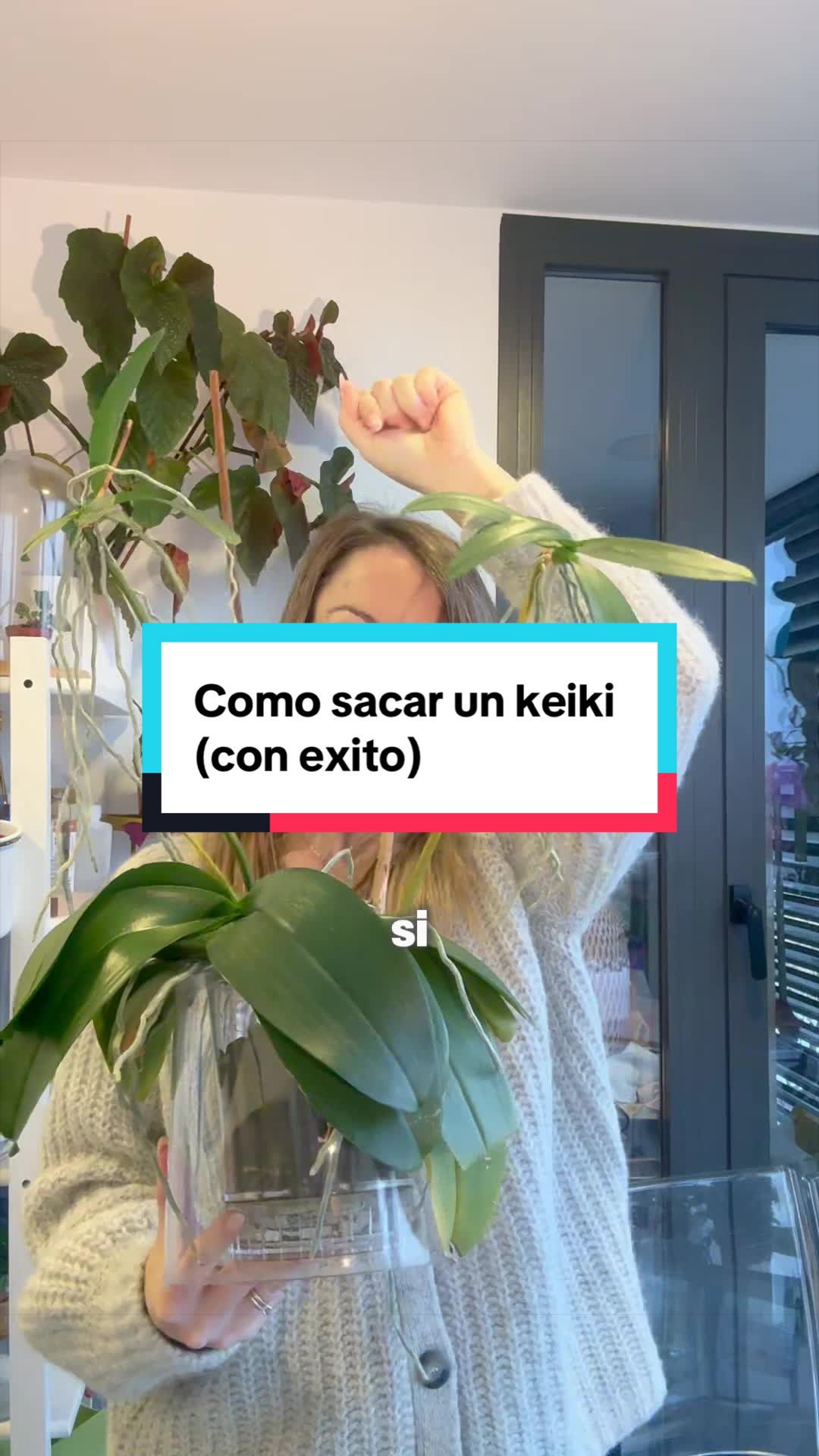 @🌱 En Abril Hojas Mil 🌱