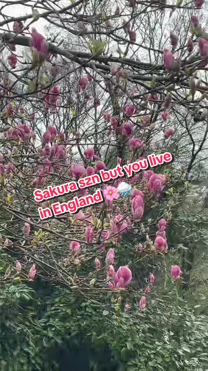 @Leo