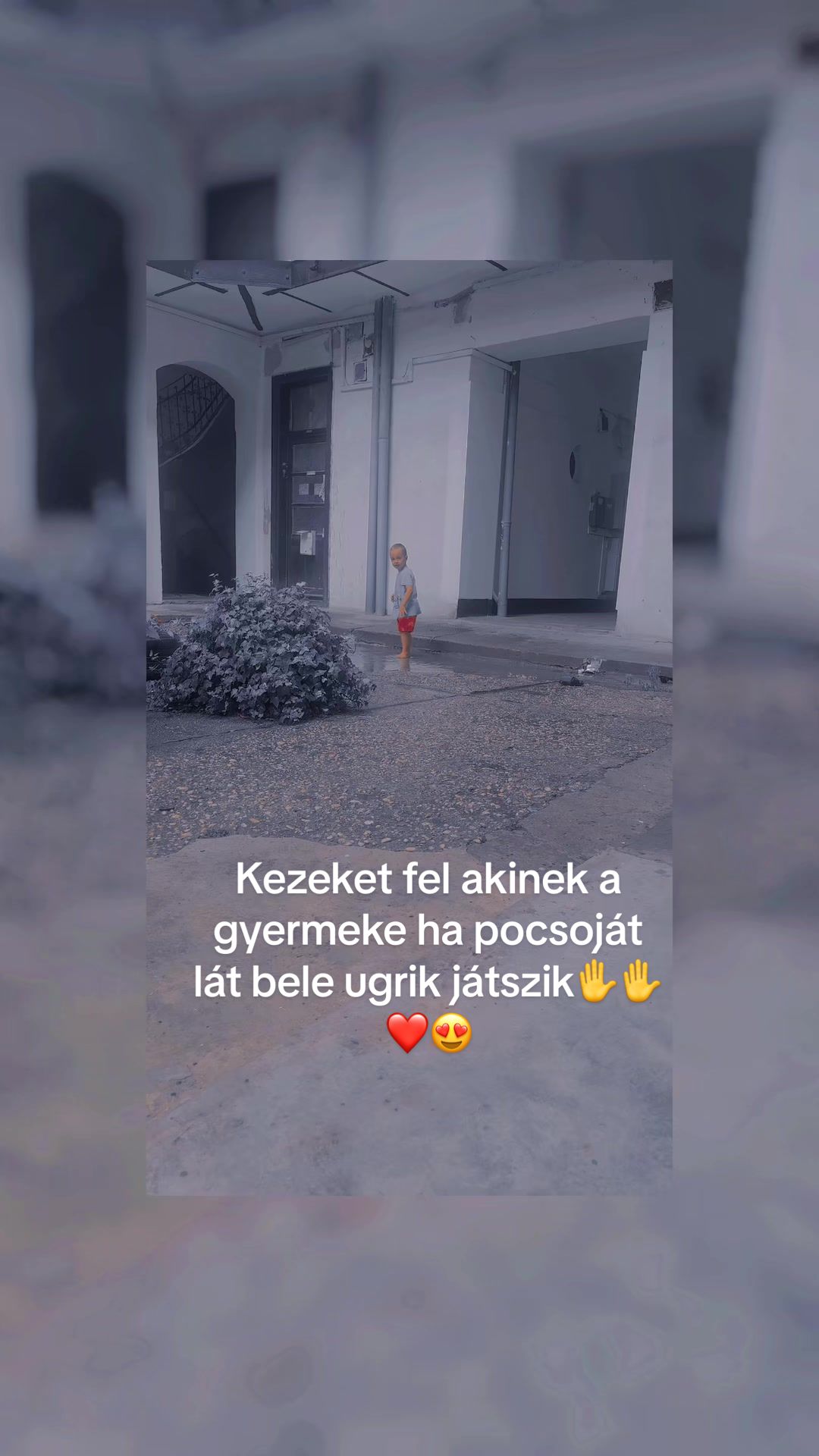 @🙈🫡🫡T&ouml;rpe🫡🫡🙈