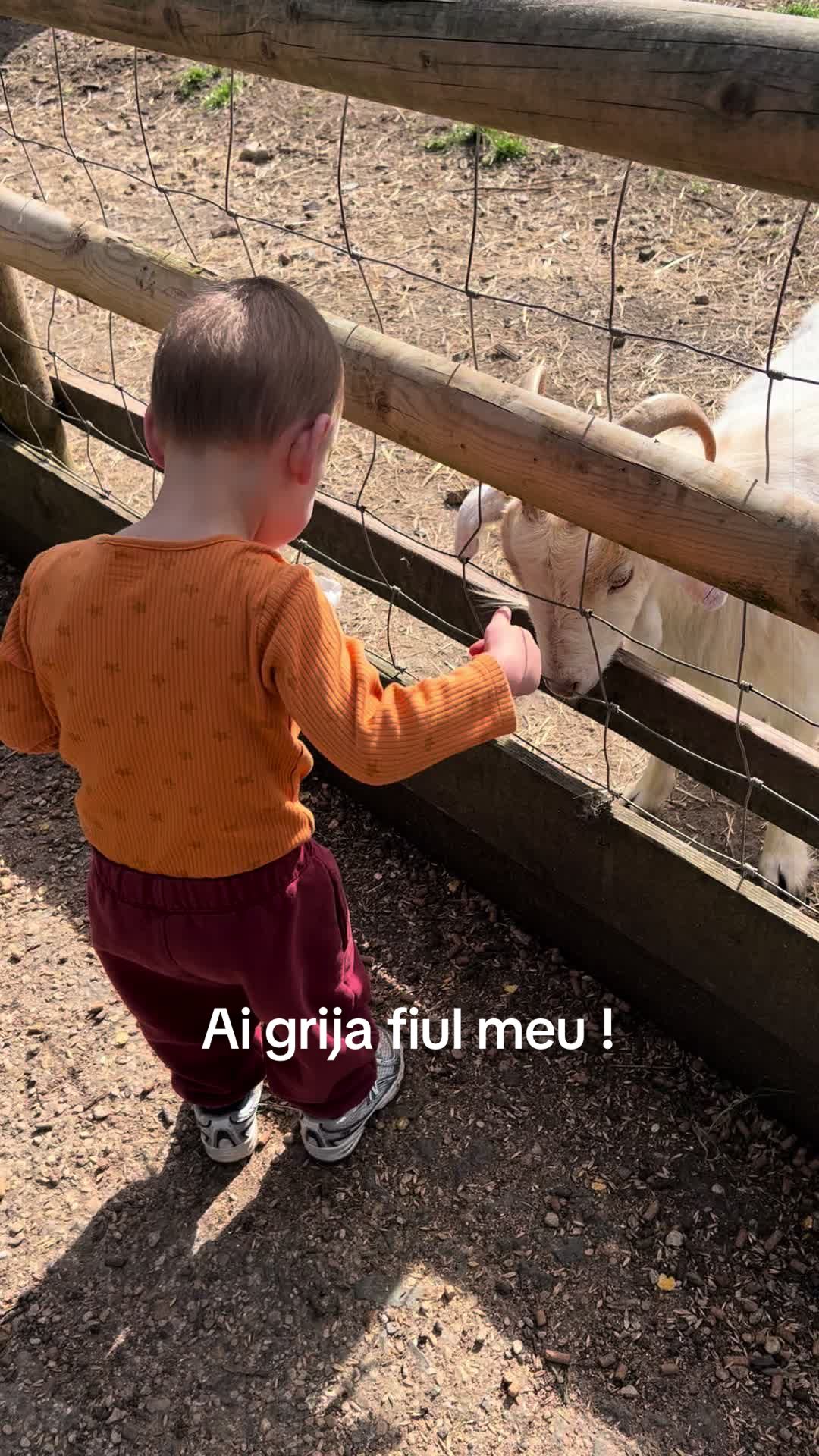 @Alina🙋&zwj;♀️