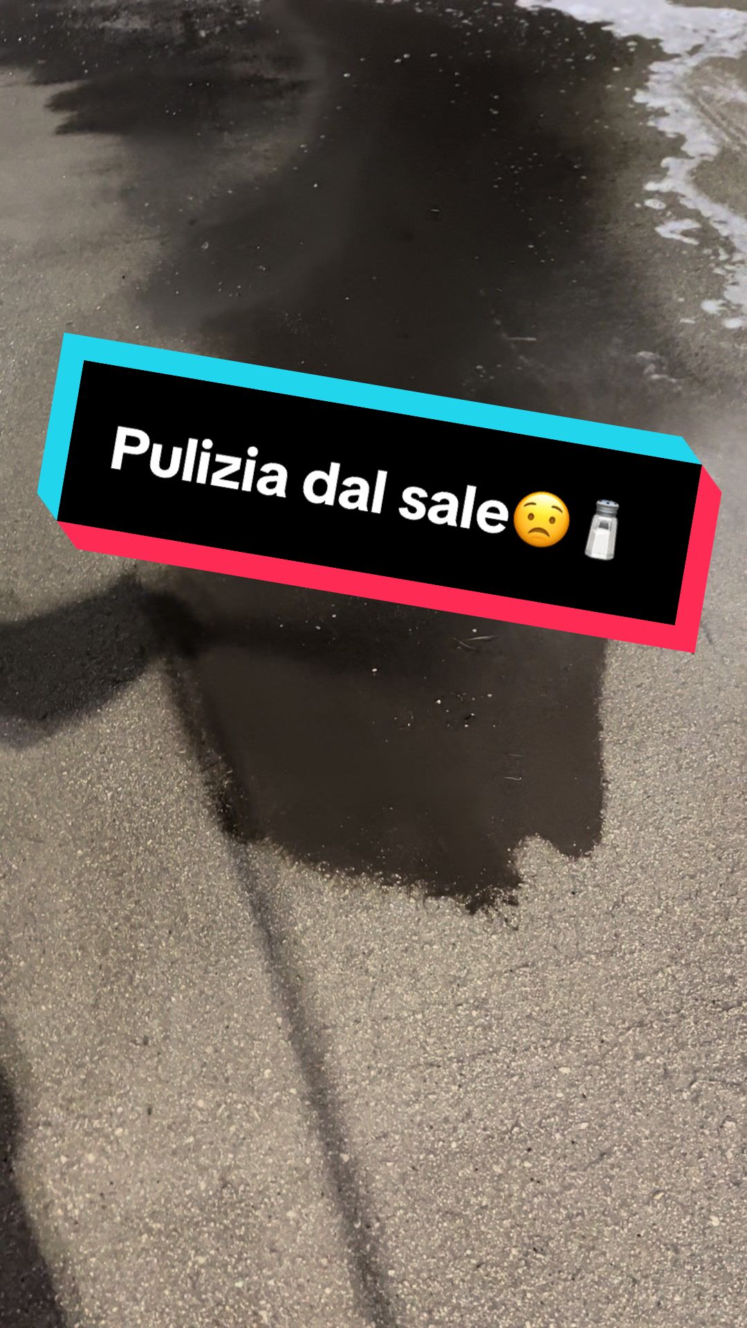 @pagliarinibusnoleggio