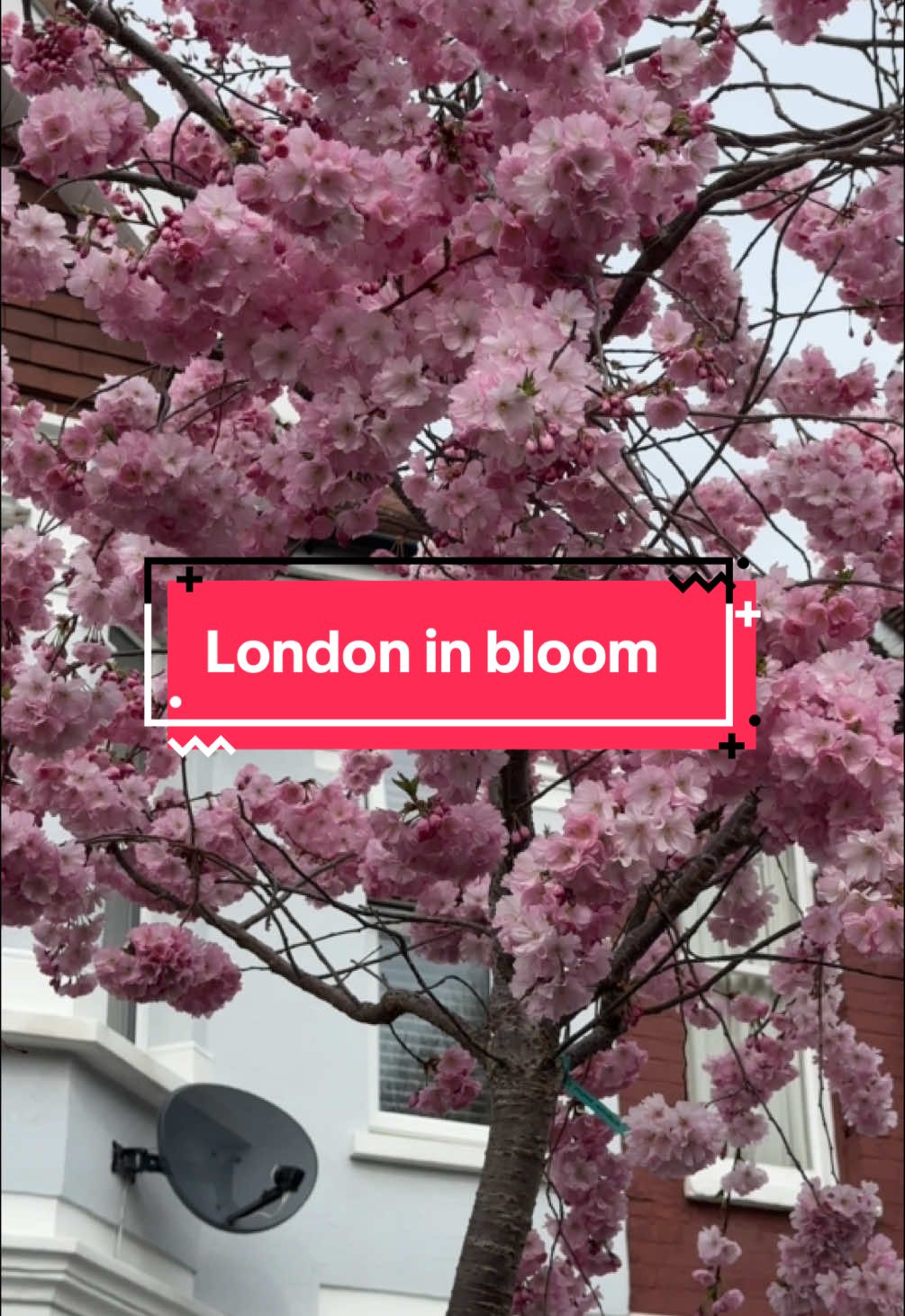 @Britannia_london