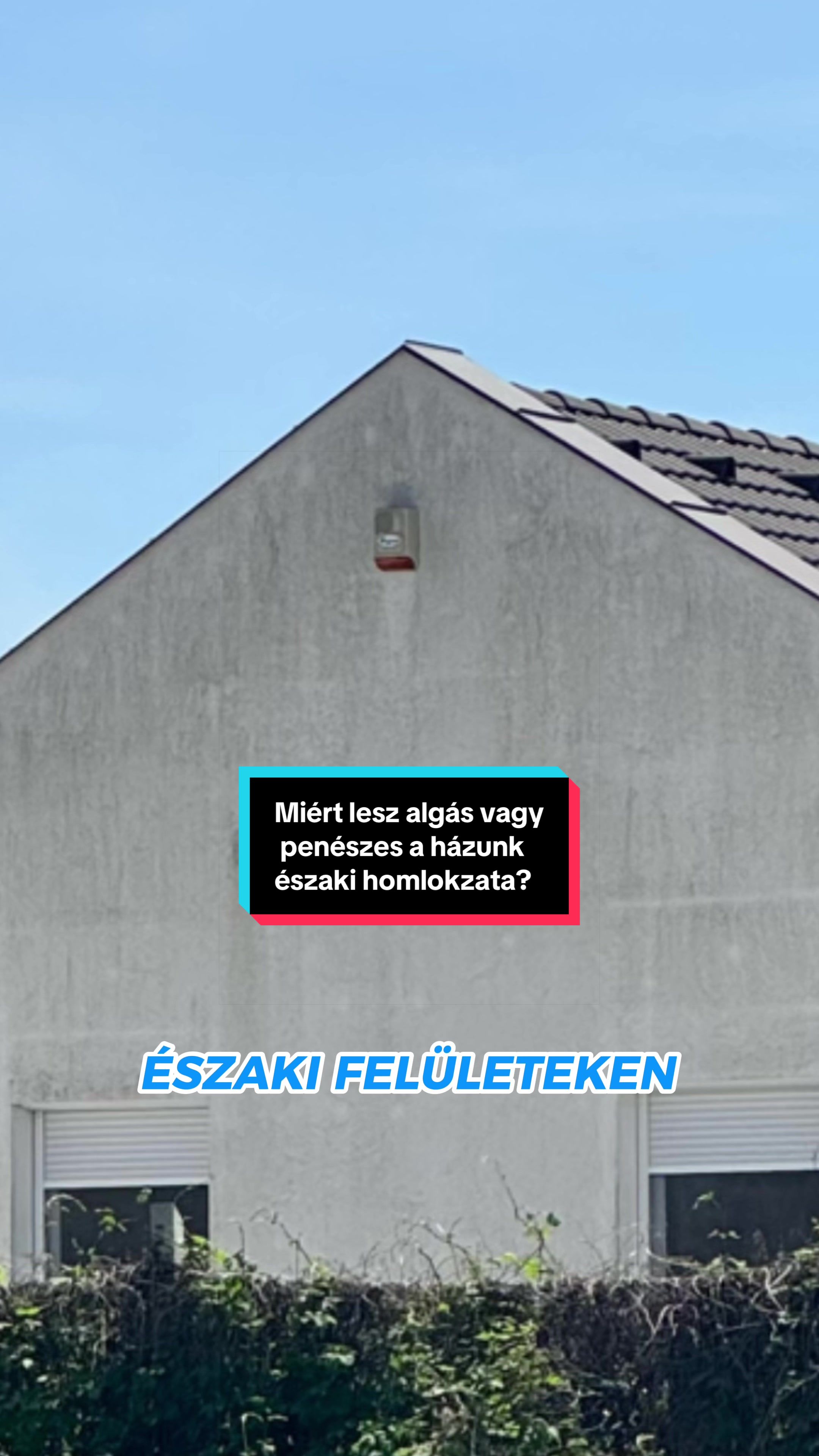 @mapeihungary