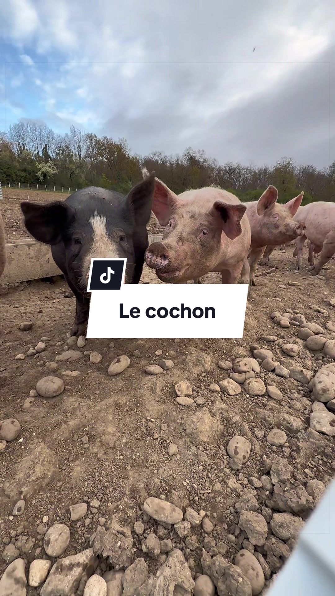 @La bouchère