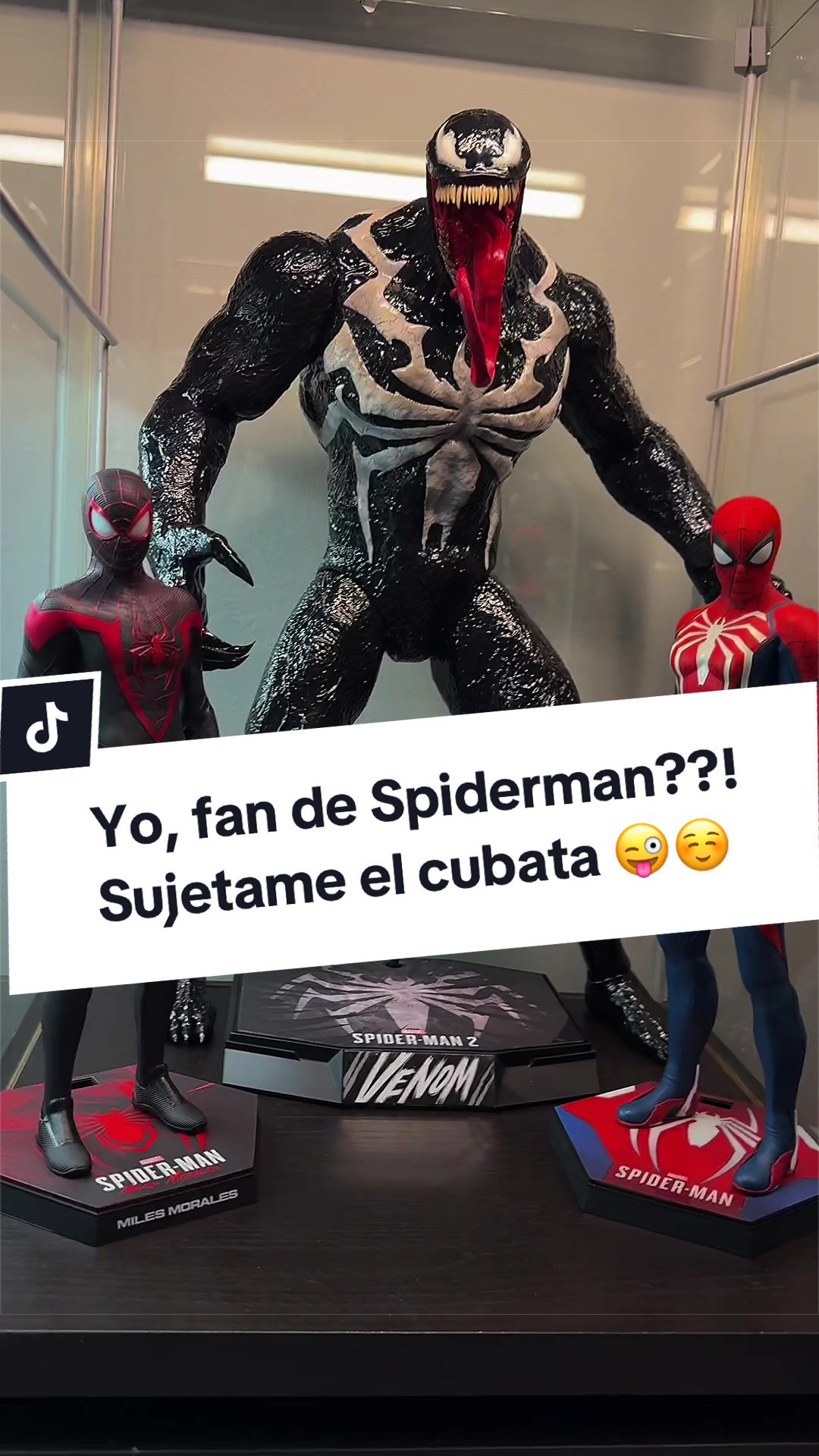 @La Mazmorra del Coleccionista