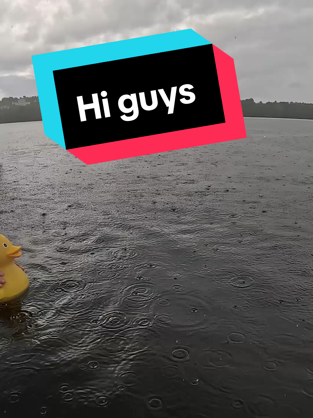 @Erik Fellman