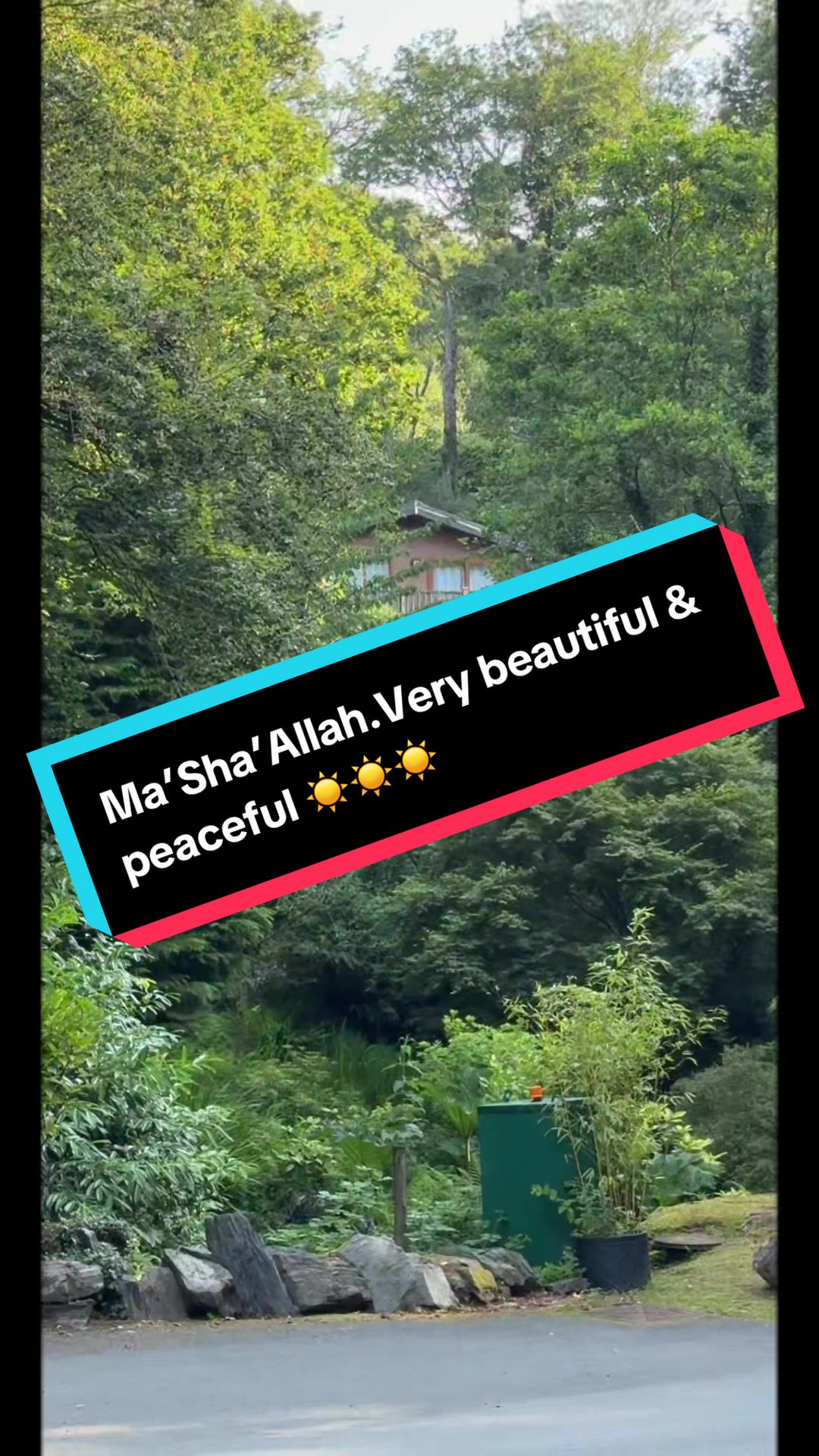 @Kashmiri-Bhai-Jaan-PTI🇵🇰🐅