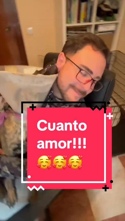 @adican_adiestradorcanino