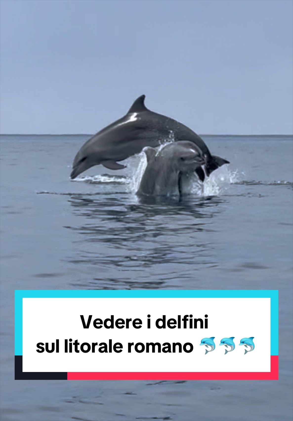 @Federica Orlandi