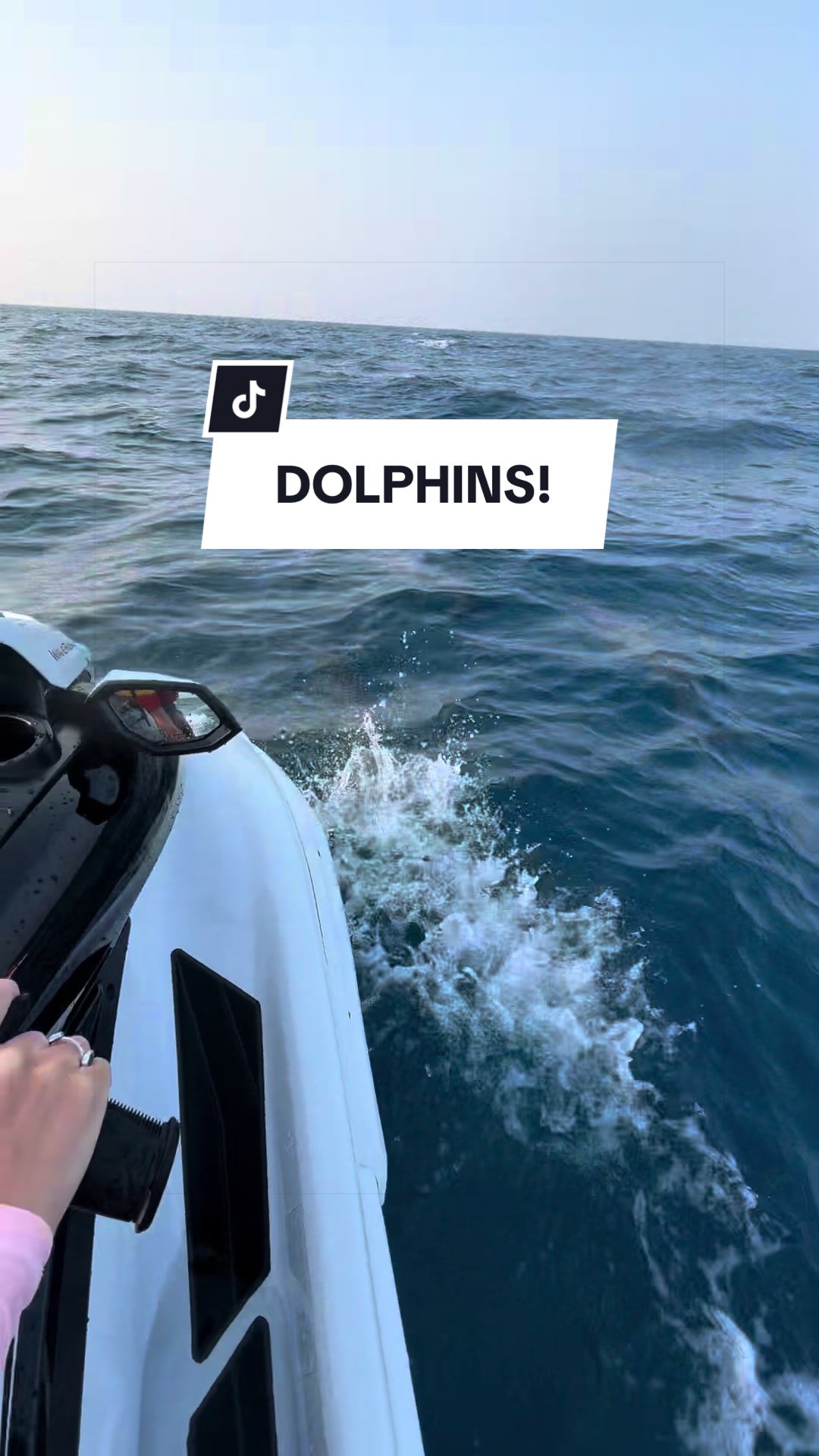 @SCUBA&ensp;DAN&ensp;🦈