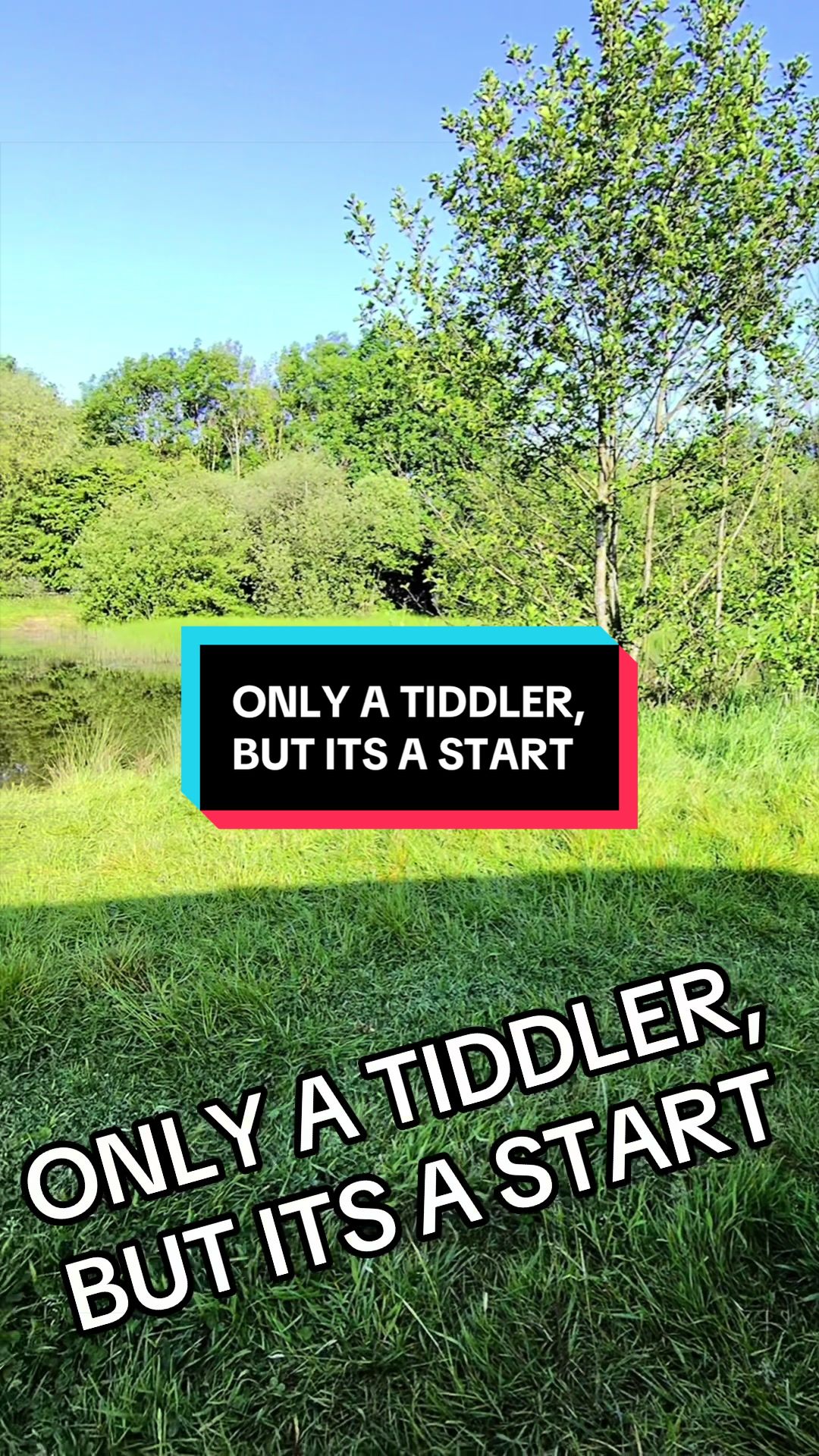 @Dan Litchfield