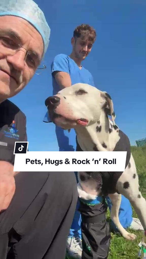 @profnoelfitzpatrick