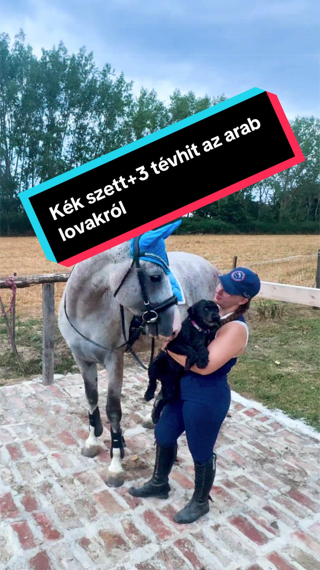 @B&D(Dóri)🥳