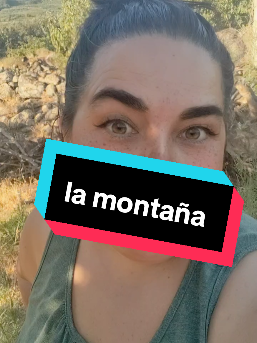 @Midrako3