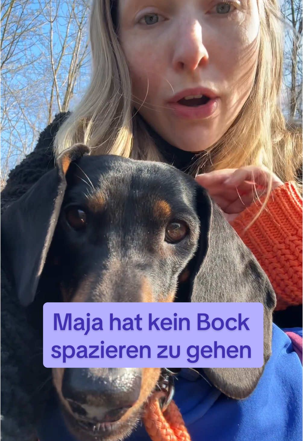 @SausagedogMaja