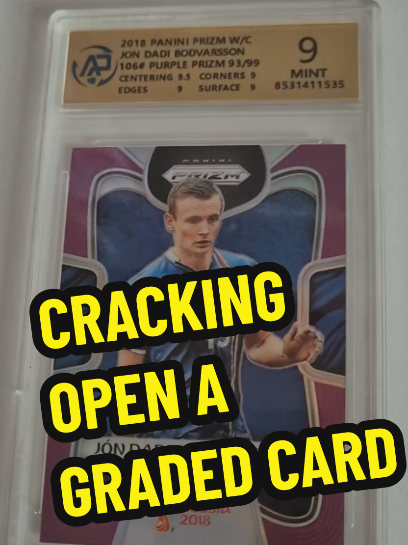 @Jack of All Trading