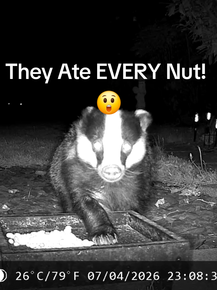 @Kent Garden Wildlife UK