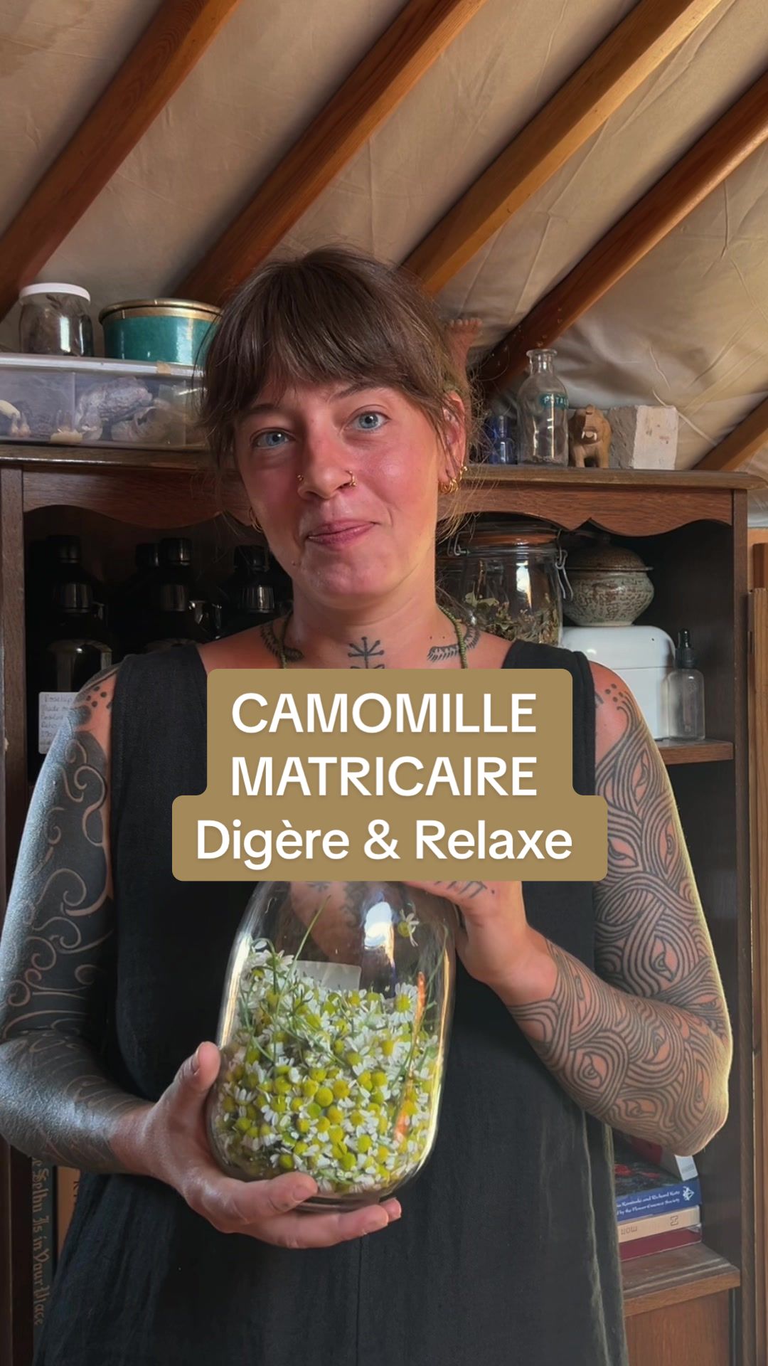 @animabotanica