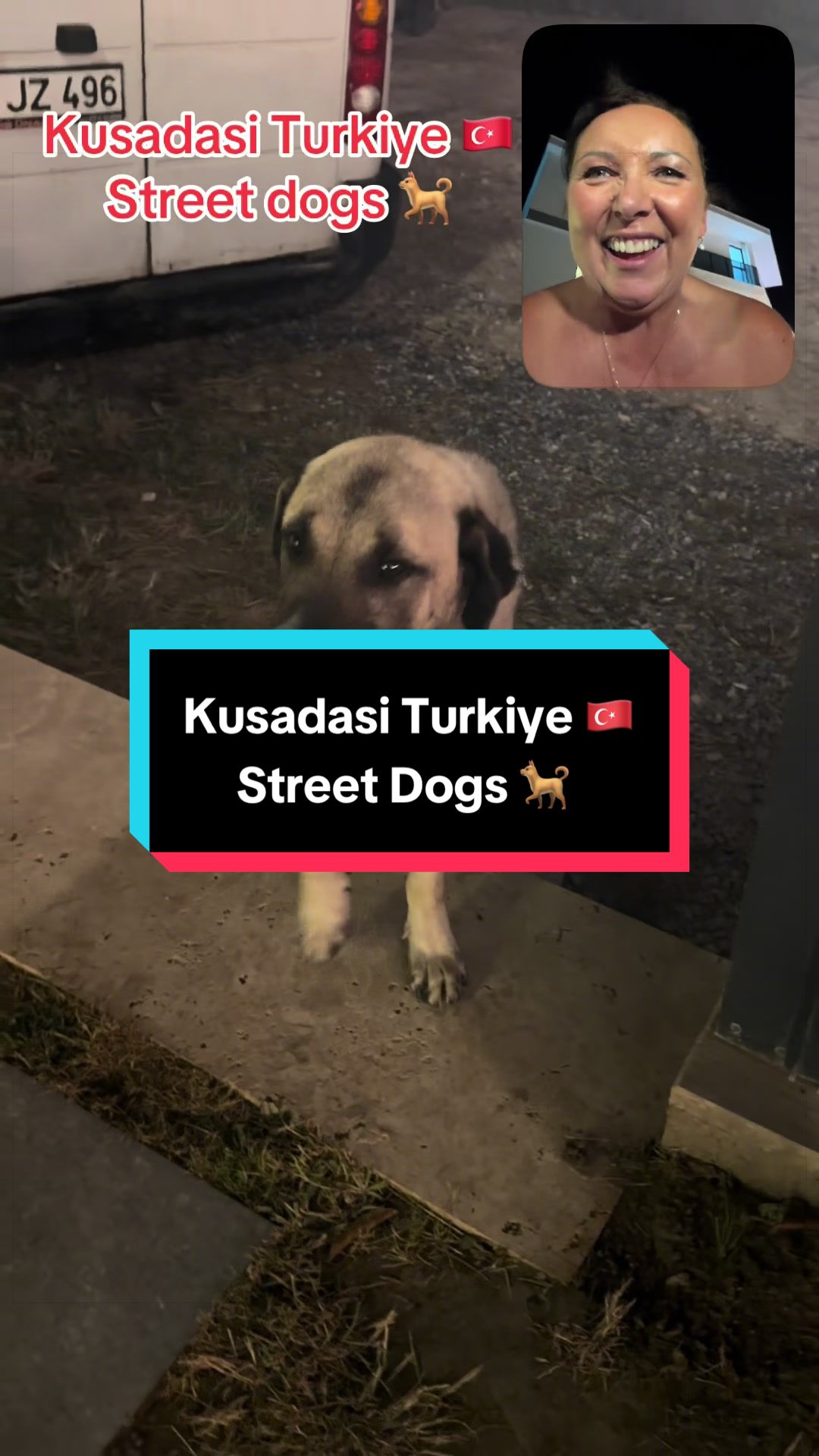 @Your Lassie in Türkiye 🇹🇷🧿