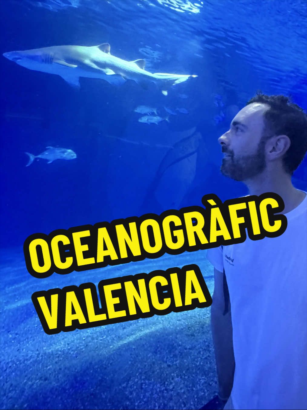 @Spanish_Giacomino