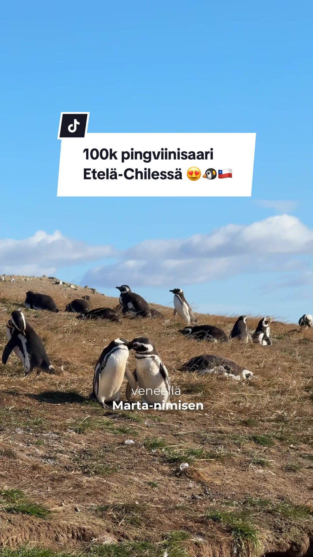 @Rosa Saario | Reissukontsaa 🌏